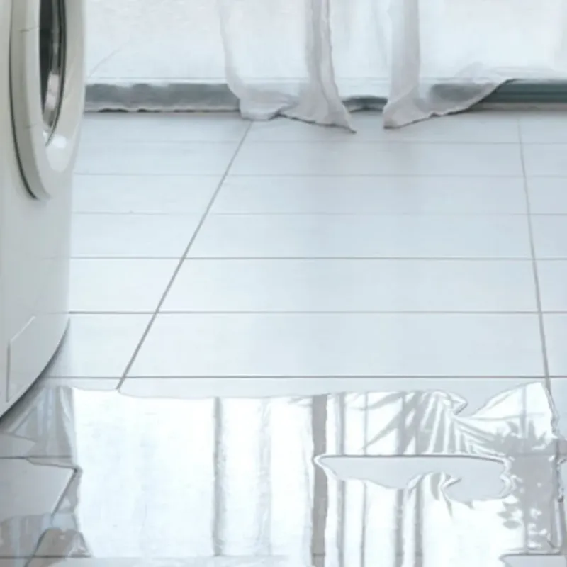 Appliance Leak Cleanup in Oscoda County, MI