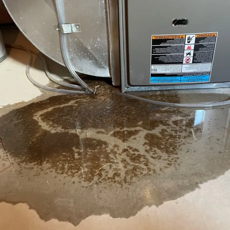 Pipe Burst and Leak Restoration in Oscoda County, MI